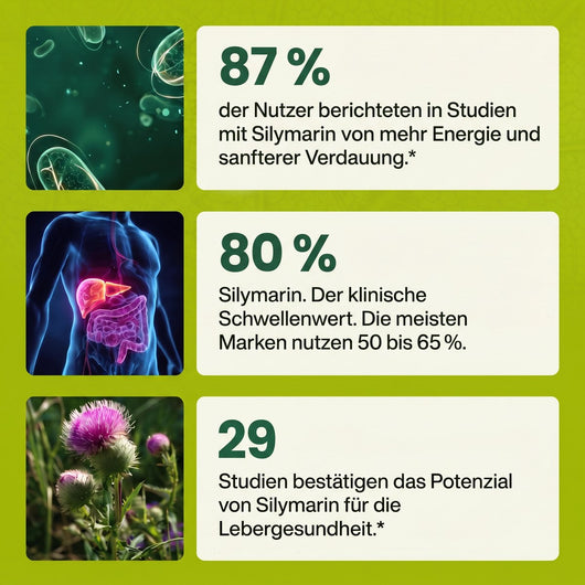 g05-studien.jpg